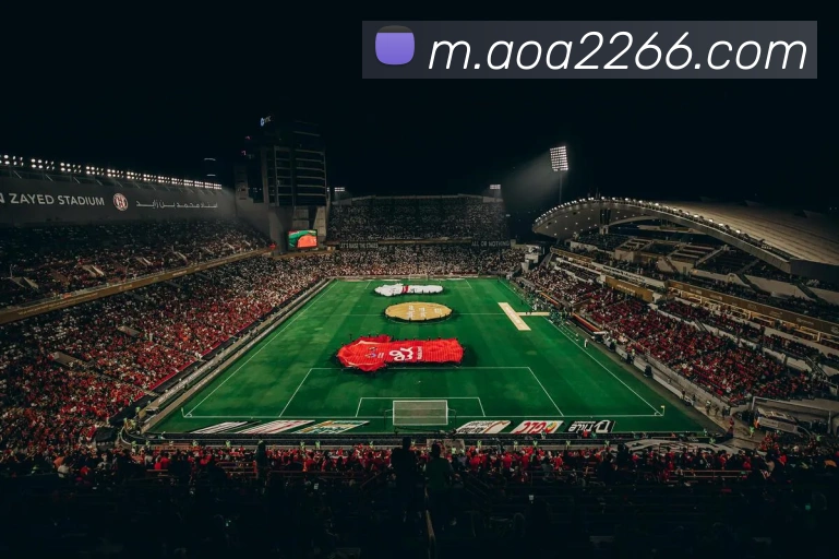 AOA sports官网品牌故事